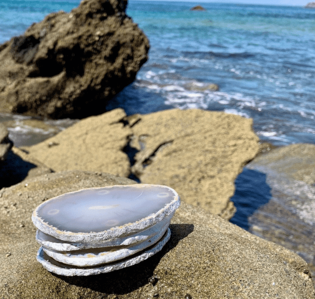 DashAlexandra Natural Agate Coaster Set - DashAlexandra
